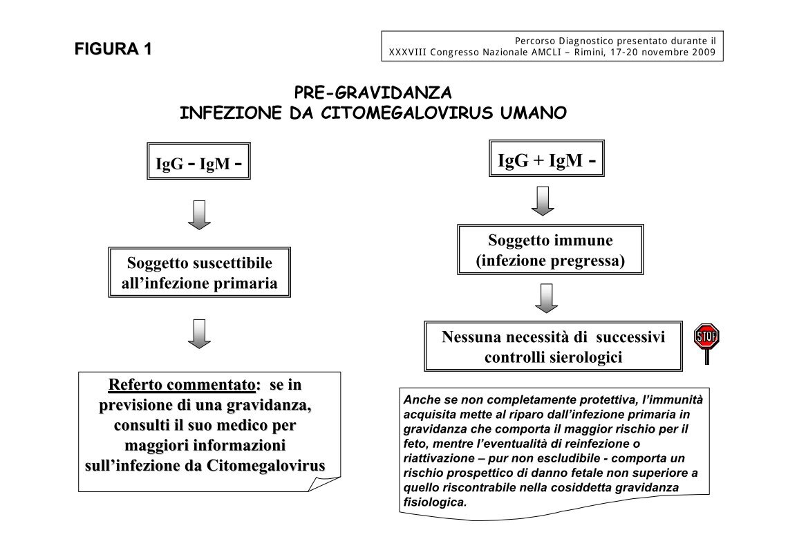 referti habilita scarica